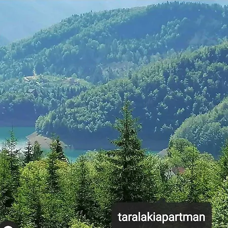 Laki Zaovine